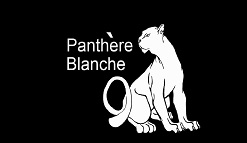 Нижнее белье Panthere Blanche